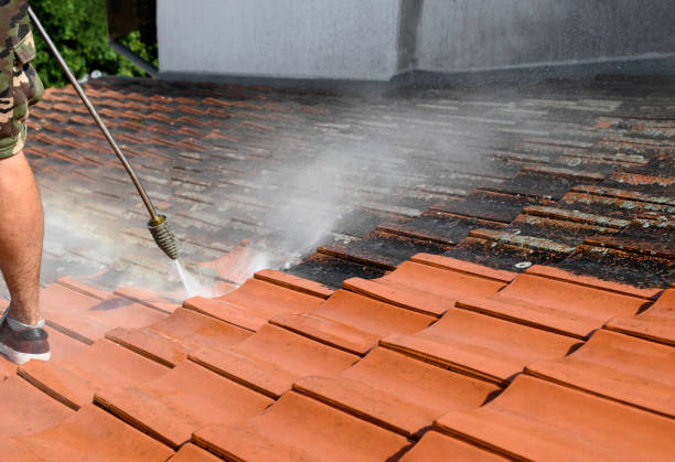 Best Pressure Washing Services for Businesses  in Goulds, FL
